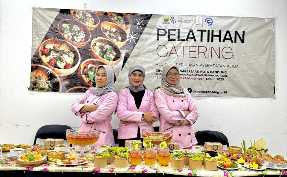Program pelatihan